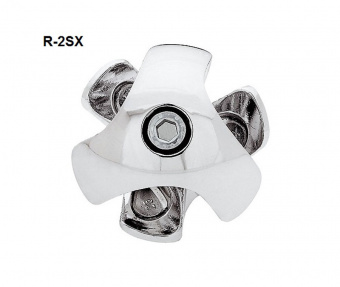 R-2SX